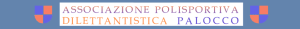 ASSOCIAZIONE POLISPORTIVA DILETTANTISTICA PALOCCO