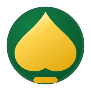 BRIDGE DUMMY