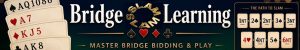BRIDGE SLAM LEARNING