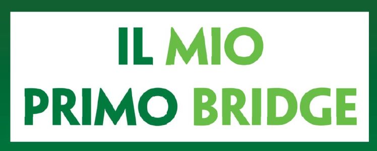 IL MIO PRIMO BRIDGE