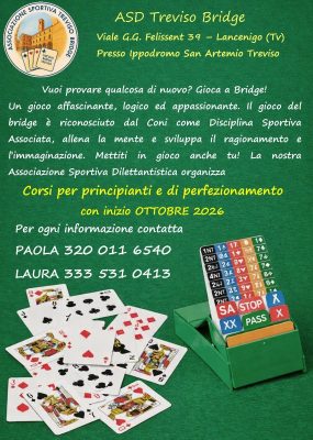TREVISO BRIDGE
